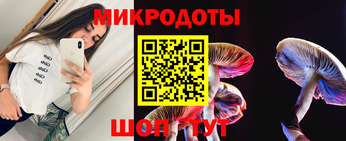 Галлюциногенные грибы Cubensis Сухой Лог