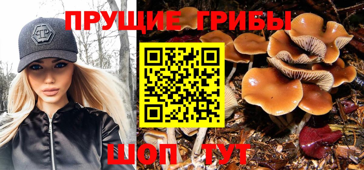 Псилоцибиновые грибы Magic Shrooms  как найти наркотики  Псилоцибиновые грибы MAGIC MUSHROOMS  Сухой Лог  Вход с VPN 